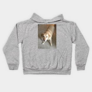 Molli Kids Hoodie